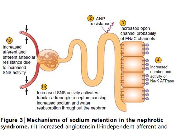 Az oedema