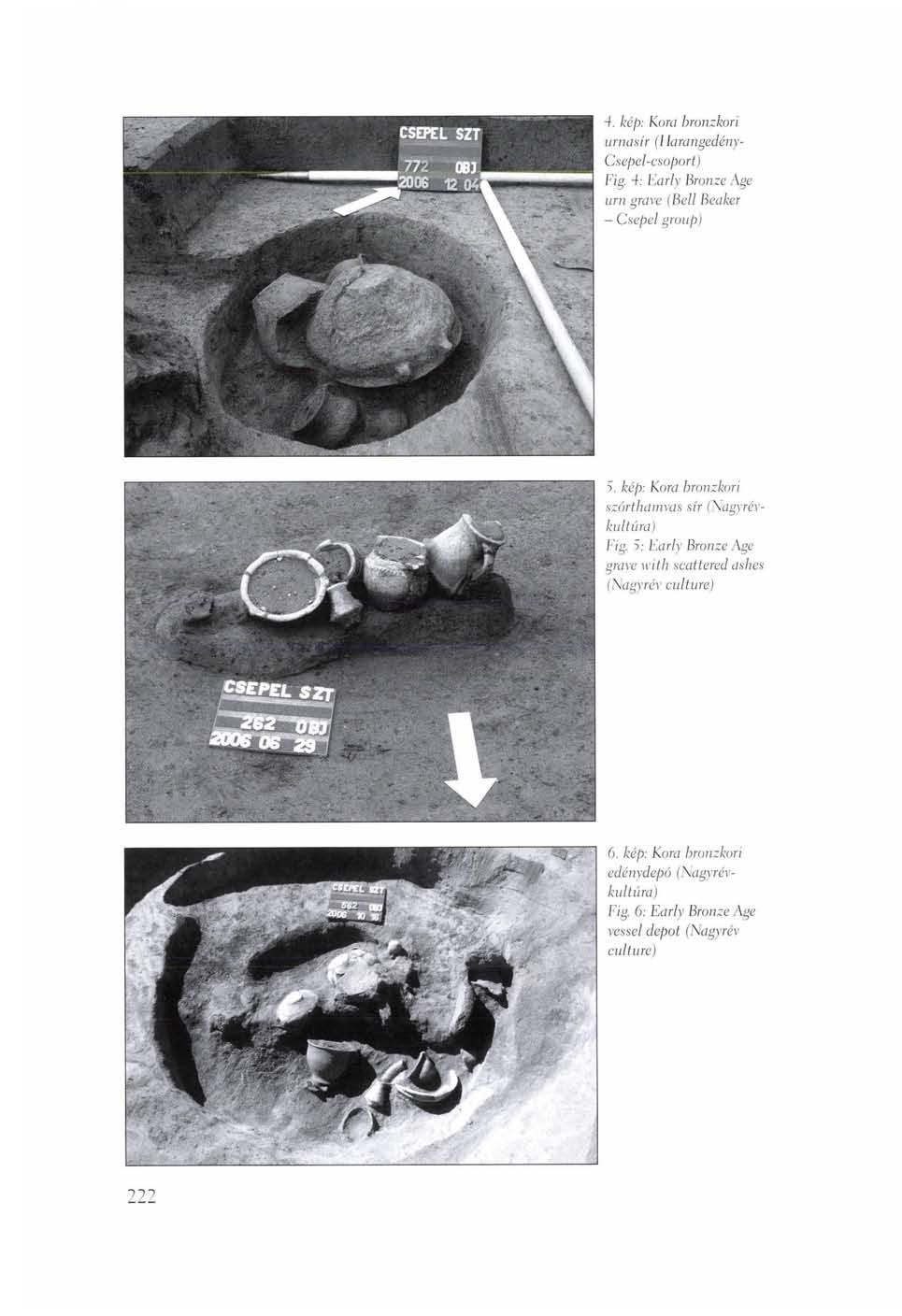 -f. kép: Kora bronzkori urnasír (7 larangedény- Csepel-csoport) Fig. 4: Early Bronze Age urn grave (Bell Beaker - Csepel group) 5.