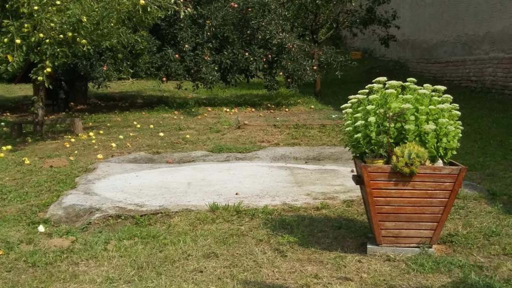 HAGYOMÁNYOS KARAKTER HAGYOMÁNYOS KARAKTER Kertek A kertek gazdag növényzete is szerepet vállal az utcakép alakulásában.