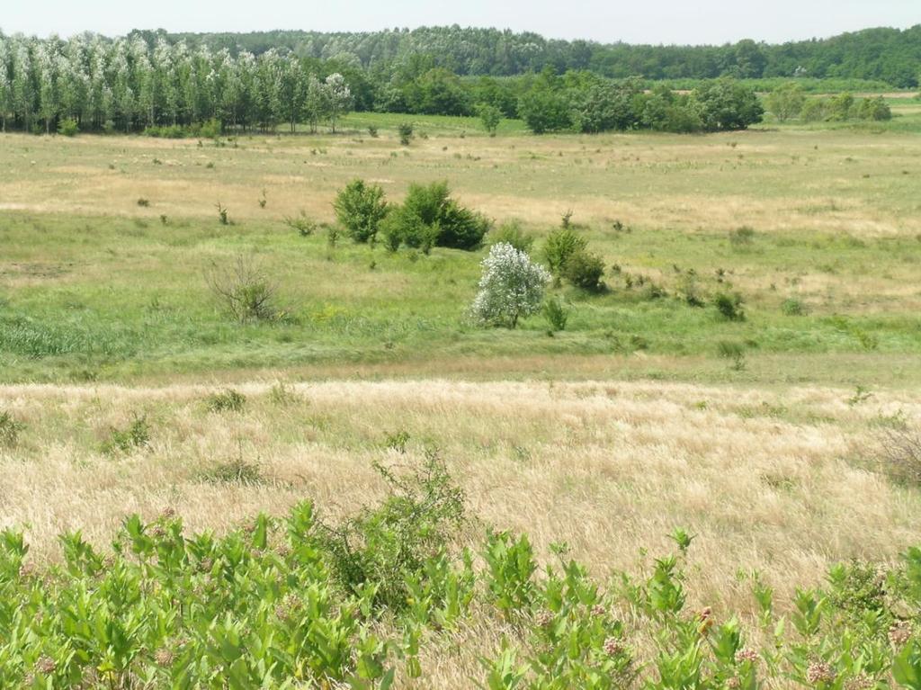 Felső - Tisza - vidéki Vízügyi Igazgatóság 4400 Nyíregyháza, Széchenyi út 19. Telefon: (42)502-200 Fax: (42)502-202 E-mail: titkarsag@fetivizig.hu Web: www.