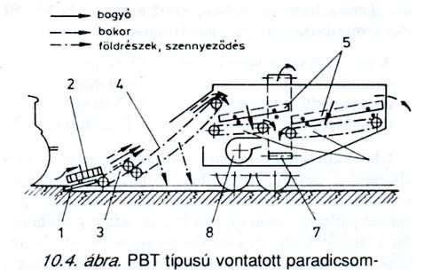 Gyümölcs (Paradicsom) feldolgozása készíthető ek: (gyümölcs)lé ROSTOS / SZŰRT Sűrített