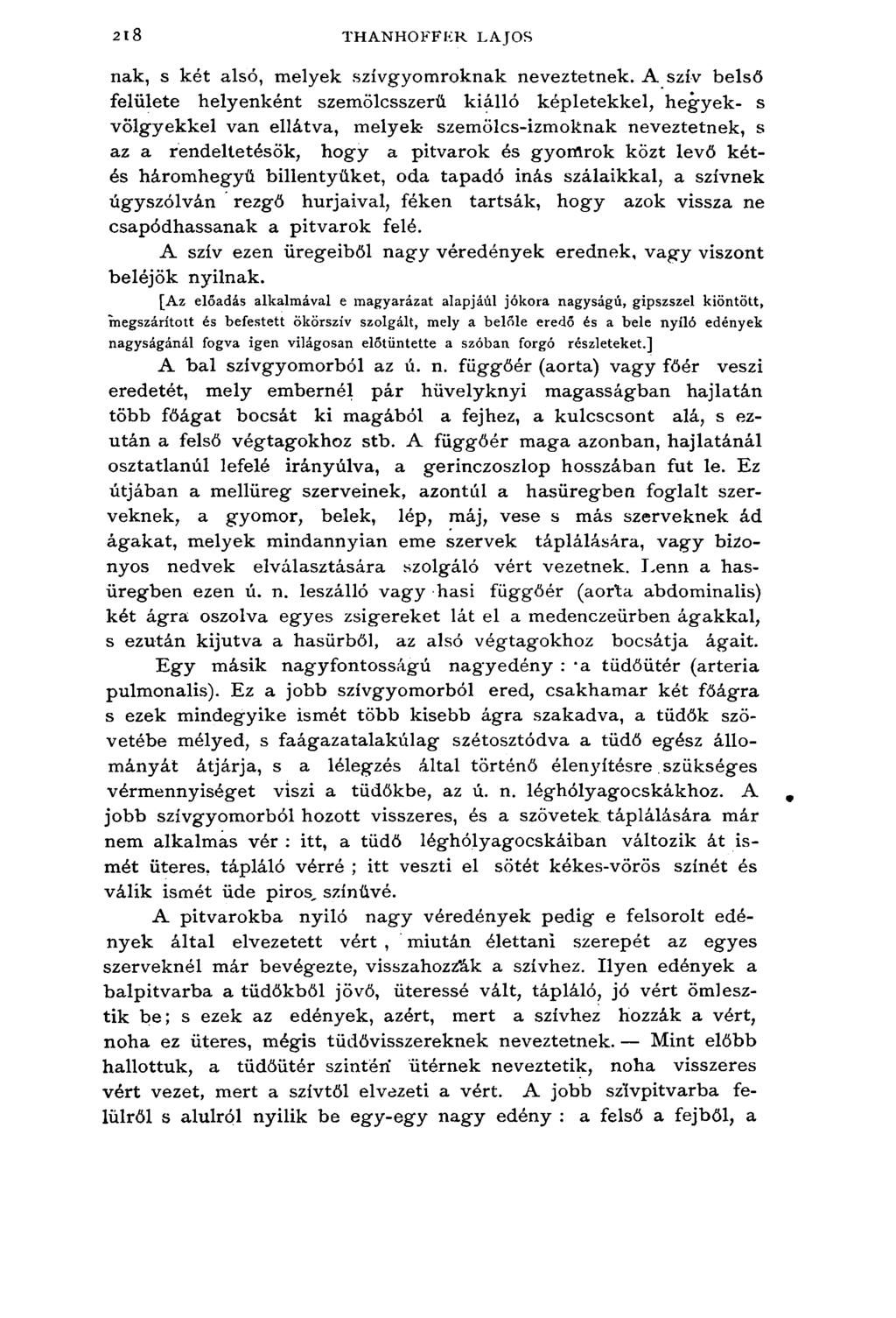 218 THANHOFFKR LAJOS nak, s két alsó, melyek szívgyomroknak neveztetnek.