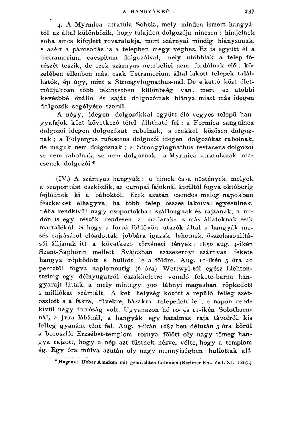 A HANGYÁKRÓL. 237 4. A Myrmica atratula Schck.