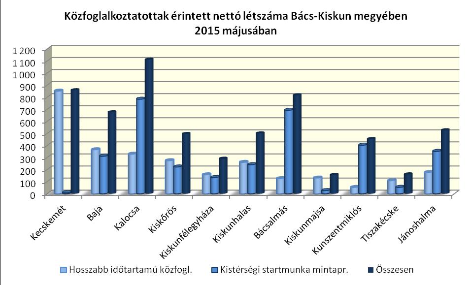 Országos közfoglalkozatás keretében 2005 dolgozott, melynek harmada (678 ) középfokú szakmai végzettségű.