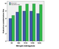 pontosan jellemezték a kukoricanövény N-ellátottságát a tenyészidőszakban (Berzsenyi és Dang, 8). 7. ábra.