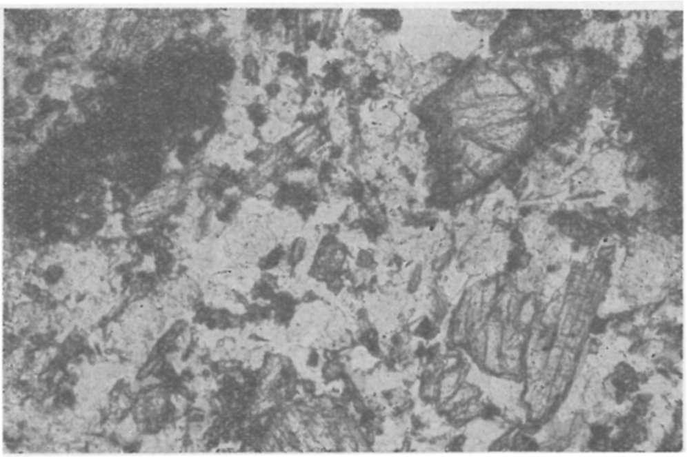 , 1937) titánvascsillám" (ilmenit) barnásán áttetsző, apró, hatszöges, igen véko lemezek, gyakrabban hirtelen nőtt, tűs, csipkés csoportok alakjában (2. ábra).