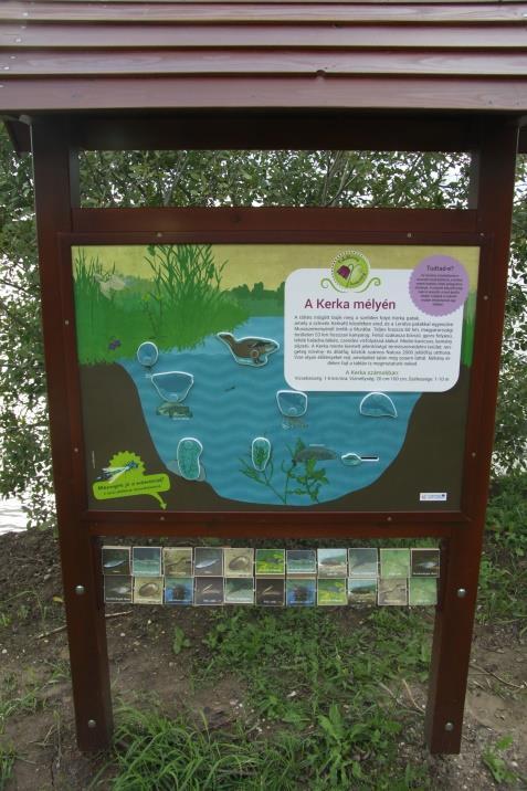 5. A Kerka mélyén interaktív tábla (Itt vízlakókkal ismerkedhetsz) Cél: A látogatók megismertetése a vízben élő állatokkal. Gyereksáv: A táblában 6 db elfordítható amorf elem található.
