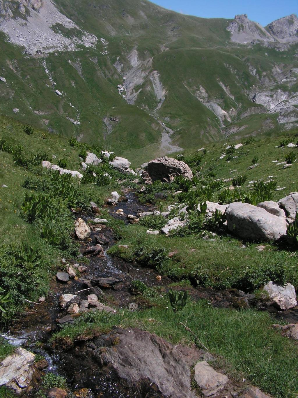 Magashegyi patak a Korab hegység albániai oldalán,