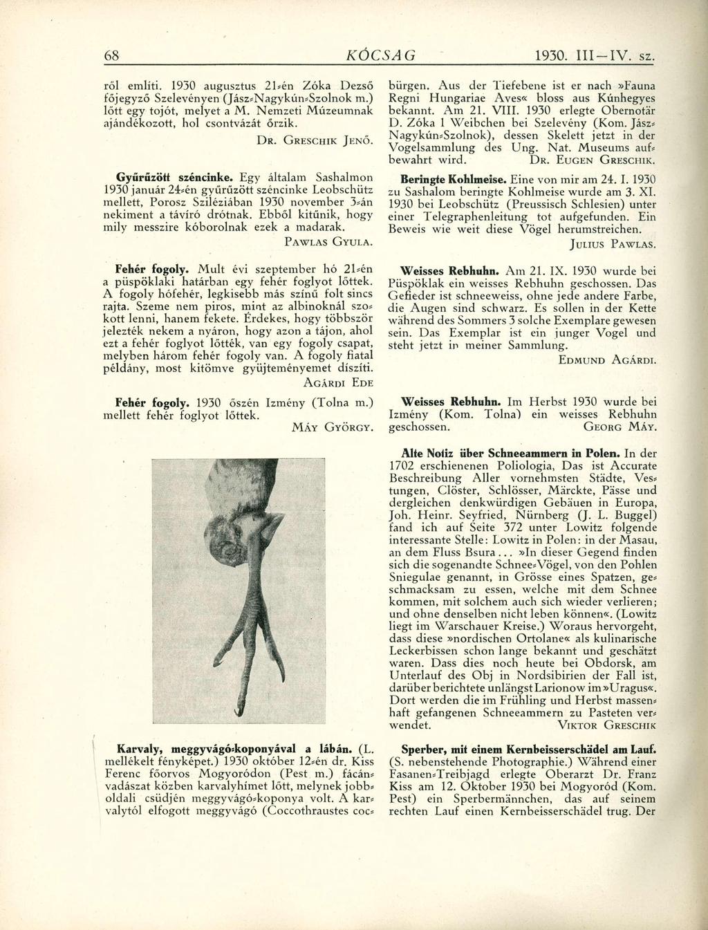 ről említi. 1930 augusztus 21*én Zóka Dezső főjegyző Szelevényen (Jász*Nagykún*Szolnok m.) lőtt egy tojót, melyet a M. Nemzeti Múzeumnak ajándékozott, hol csontvázát őrzik. Gyűrűzött széncinke.