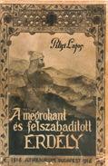 Hazai müvészek rajzaival diszített képes kiadás. Budapest, 1879. Méhner Vilmos. 1 t. címkép + 805 + [10] p., számos szövegközti illusztrációval.