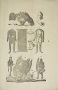1794-ben jelent meg De animali electricitate c. műve. Több más felfedezés is fűződik nevéhez.