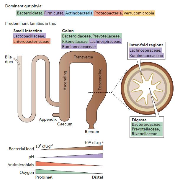 Donaldson GP et al.