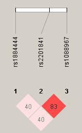 a) b) 1. Ábra: A három vizsgált IL23R polimorfizmus kapcsoltsági analízise.
