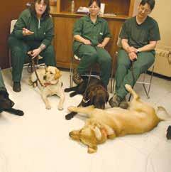 2010. FEBRUÁR Börtönújság Kutyaterápia a világban Azt, hogy az állatok fontos szerepet tölthetnek be az egészszégügyi és mentális rehabilitációban, már régen tudjuk: Angliában már 1792-ben használtak