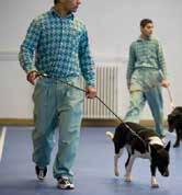 2010. FEBRUÁR Börtönújság Börtönélet Gyári omegák kellettek A kutyákat gondosan választották ki a közel kétszáz menhelyi kutya közül.