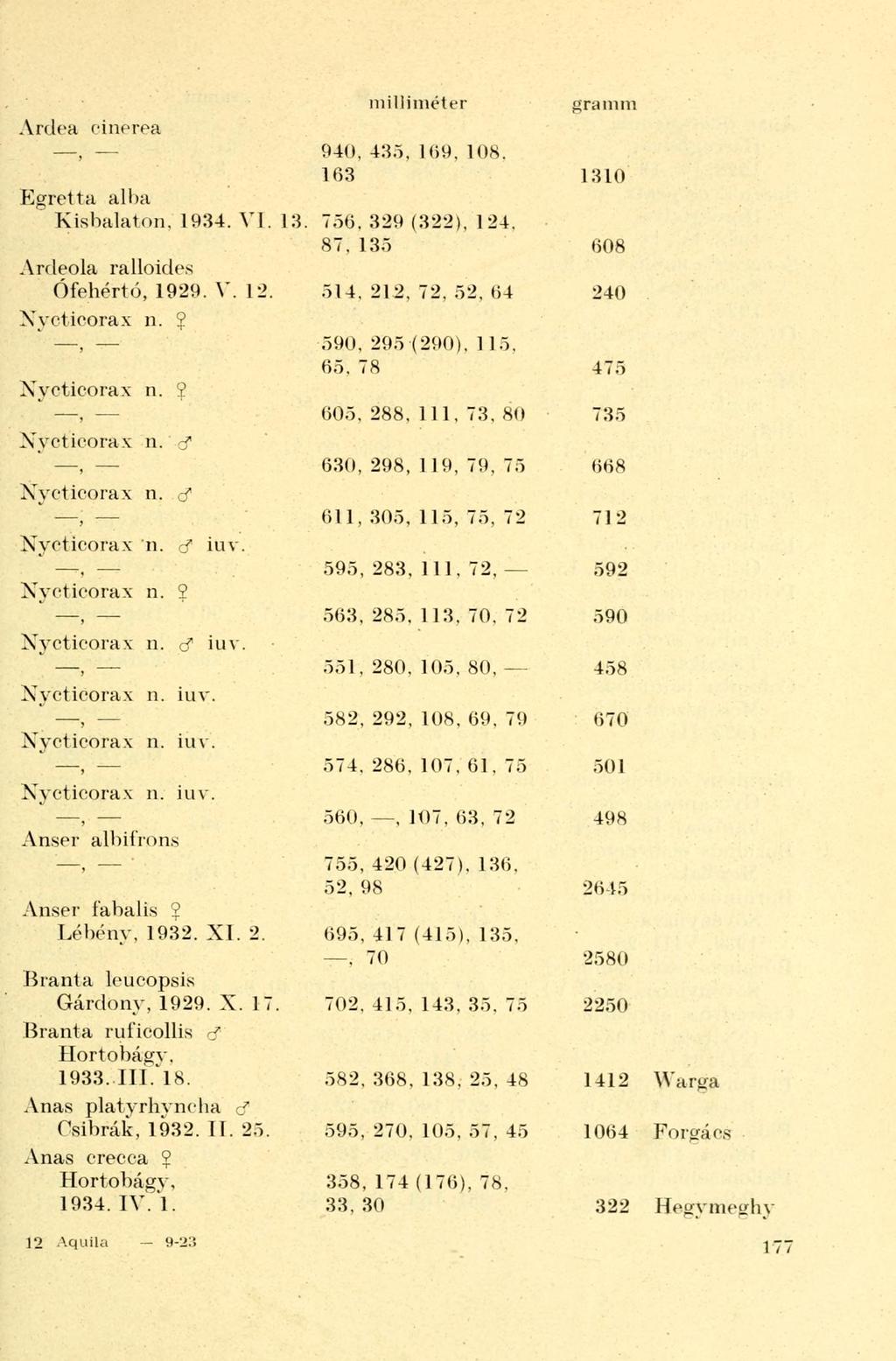 Ardea cinerea Egretta alba Kisbalaton. 1934. VI. 13. Ardeola ralloidcs Ófehértó, 1929. V. 12. Xvcticorax n. 2 Xvcticorax n. 2 Xvcticorax n. d" Nycticorax n. d" Nycticorax n. cf iuv.