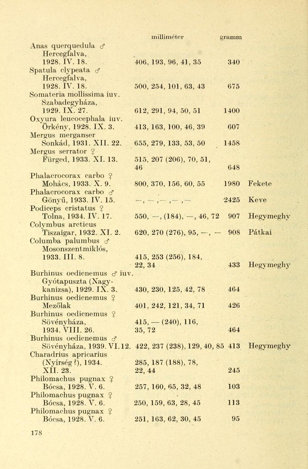 Anas querquedula cf Hercegfalva, 1928. IV. 18. 406,193,96,41,35 340 Spatula clypeata rf Hercegfalva, 1928. IV. 18. 500,254,101,63,43 675 Somateria mollissima iuv. Szabadegyháza, 1929. IX. 27.