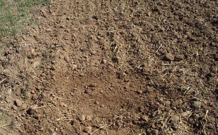 A szalmatakaró megtartja a talajnedvességet A borona még magasabb tarló esetén is talaj és szalma keverékéből álló teljes