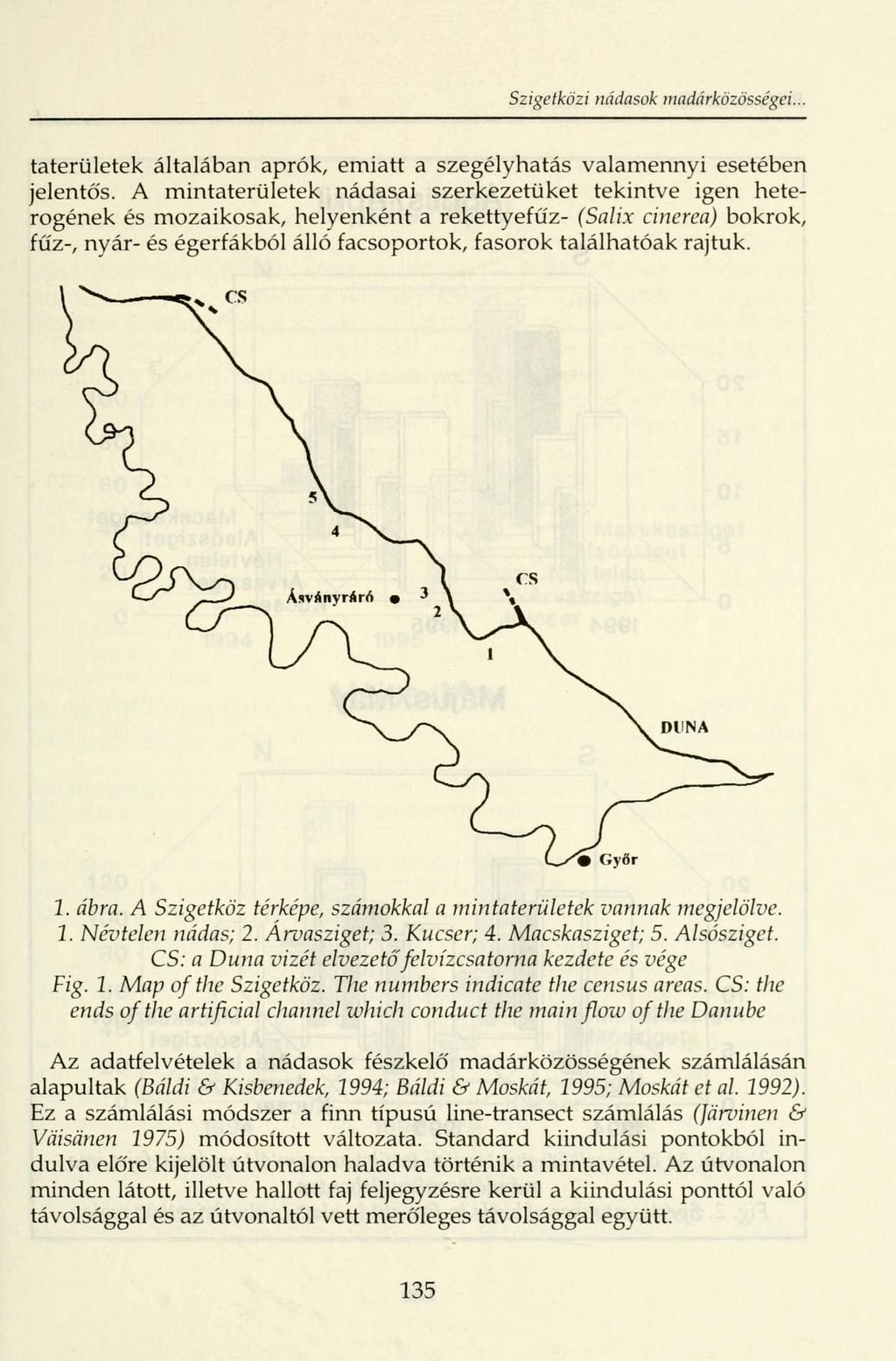 Szigetközi nádasok tnadárkózösségei. taterületek általában aprók, emiatt a szegélyhatás valamennyi esetében jelentős.