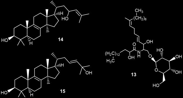 23-hidroxi-lanoszterol (14) és lanoszta- 8,23-dién-3β,25-diol (15). A gombafaj n-hexános kivonatából kimutatott cerebrozid B (13) egy glükóz molekulához kapcsolt ceramid típusú vegyület.