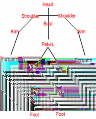 Példa: Emberi