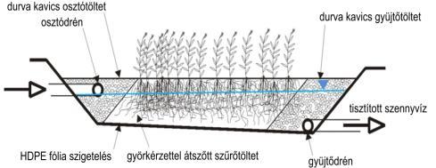 körülmények Gyökérzónás szennyvíztisztítás Élőgépek (Harbor-Park,