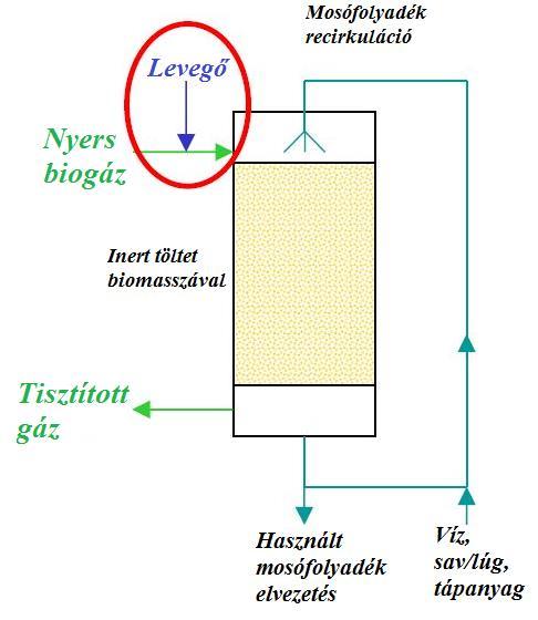 H 2 S