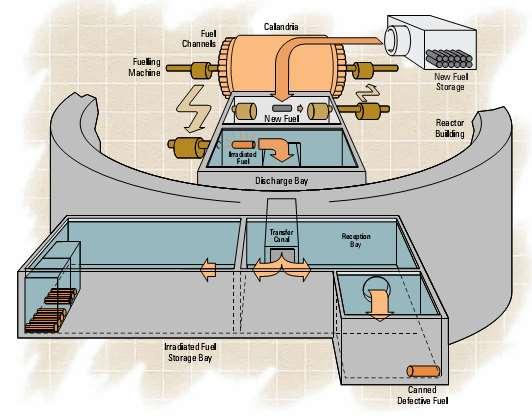 CANDU üzemanyag kezelés Üzem közbeni átrakás: két átrakógép segítségével Neutrongazdag zóna Különböző üzemanyagok használata: natu, enyhén dúsított U (0.8-1.