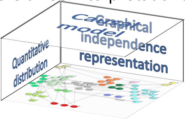 Probabilistic graphical models: Bayesian Networks A directed acyclic