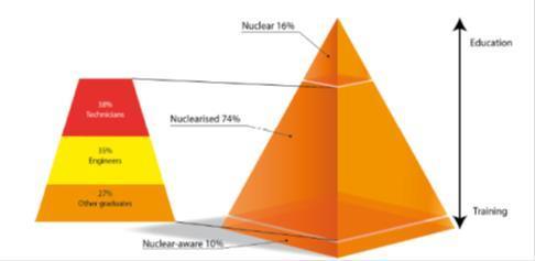 Képzettségi követelmények az EU-ban Képzettségi/nukleáris kompetencia csoportok ([15]) Nuleáris (nuclear) szakértő 16 % Nukleáris alapképzettségű A nukleáris energia szektor alkalmazottai