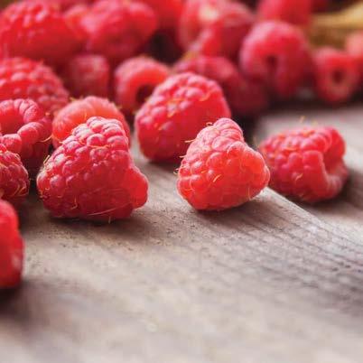 Berry Slim Táplálék-kiegészítő Útifűmaghéj Csicsóka Liofilizált málna Kovaföld Szójalecitin Almapektin Gyömbér C-vitamin Stevia