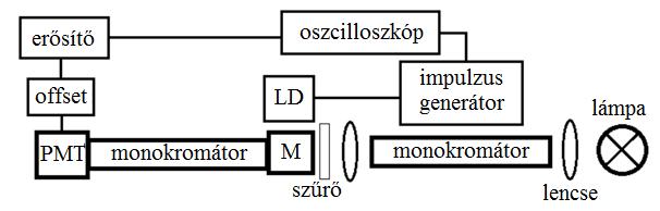 3.1. ábra Rvx. gelatinosus sejtek abszorpciós spektruma. Fény-indukált abszorpcióváltozás A sejteket 15 percig anaerob környezetben sötétadaptáltuk a mérések előtt.