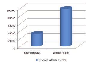 III. ANALýZA POTENCIÁLU BIOMASY lesnícka jednotka v jasove plánuje vyprodukovať 15.078 m 3 dreva. To znamená, že pri takomto množstve vzniká 2.216 m 3 tenkého vetvového odpadu.