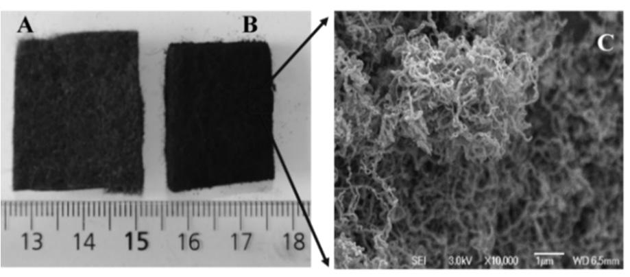 A, B ảnh chụp của carbon xốp và composite tổng hợp, C ảnh chụp SEM của mẫu composite Ở hình 4 trình bày ảnh chụp SEM với độ phân giải cao của các mẫu, kết quả cho thấy, khi sử dụng các chất nền khác