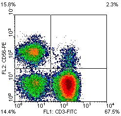 antigénreceptor koreceptora MHC I Monociták, makrofágok, granulociták egy része LPS receptor része LPS, LBP CD19 ek A CR2-vel (CD21) és a CD81 -gyel