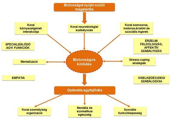 A kötődés és más rendszerek