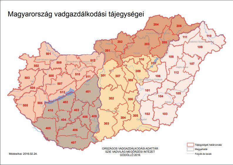 Vadászturizmus Nagykőrösön Az 50-es, 60-as évektől megerősödik a vadászat elfogadása, hisz a politikai is ráeszmél, hogy szükség van a vadászatra, mint valutatermelő ágazatra.