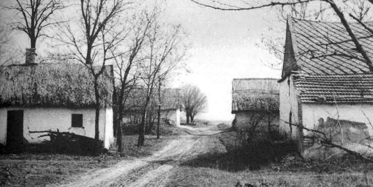 Ezzel nagymértékben hozzájárult a szálláskertesség eredeztetésével kapcsolatos régi kérdései tisztázásához is (Hofer T. 1980).