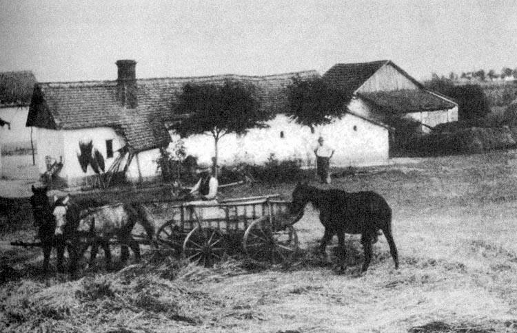 Alföld Csűr sövényfallal, zsúptetővel, előreugró középrésszel (Bozzai, Vas m.) A SZÁLLÁSKERTEK TÍPUSAI 1.