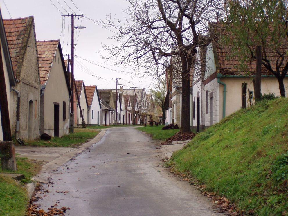 Előfordult azonban, hogy 1-2-3 kilométerre is eltávolodtak a lakótelepüléstől.