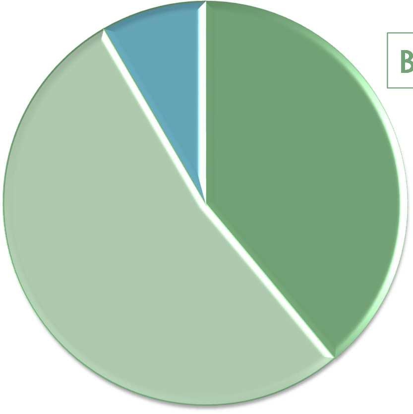 >1,3 8,4% 25 fő BKI 0,9