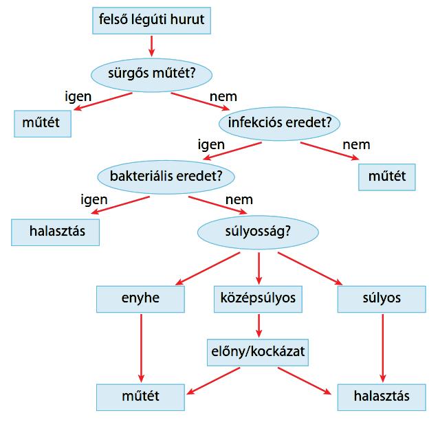 FELSŐ LÉGÚTI HURUT ÉS ANESZTÉZIA A