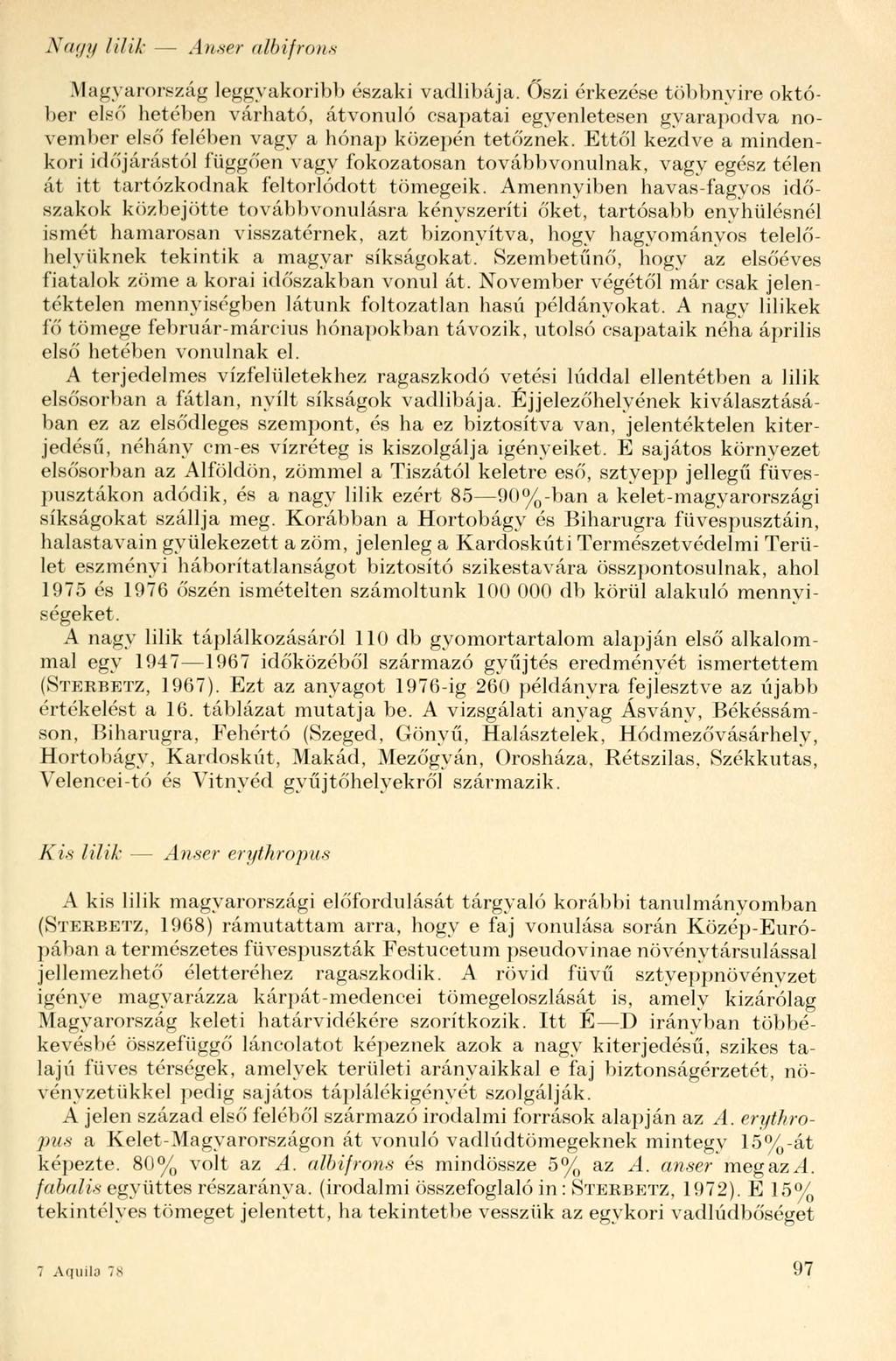 Xagy lilik - Au.scr albifrons Magyarország leggyakoribb északi vadlibája.