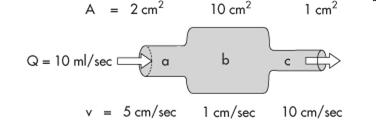 Re = 2rv/η Bernoulli törvény A lineáris áramlás sebesség