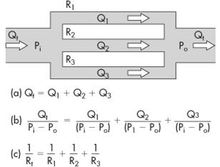 12 PRU Sorba kapcsolt elemek esetén: TPR= R1+R2+R3+ TPR > R1 vagy R2 vagy R3 A teljes perifériás ellenállás Párhuzamosan kapcsolt elemek esetén: 1/TPR=1/R1+1/R2+1/R3