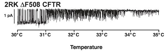 Cl - Cl - Cl - Cl - C O Hegedus et al.