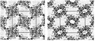 transporter BtuB (e) human b2 adrenergic