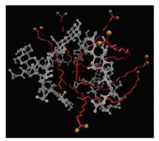 force field Lipid struktúrák