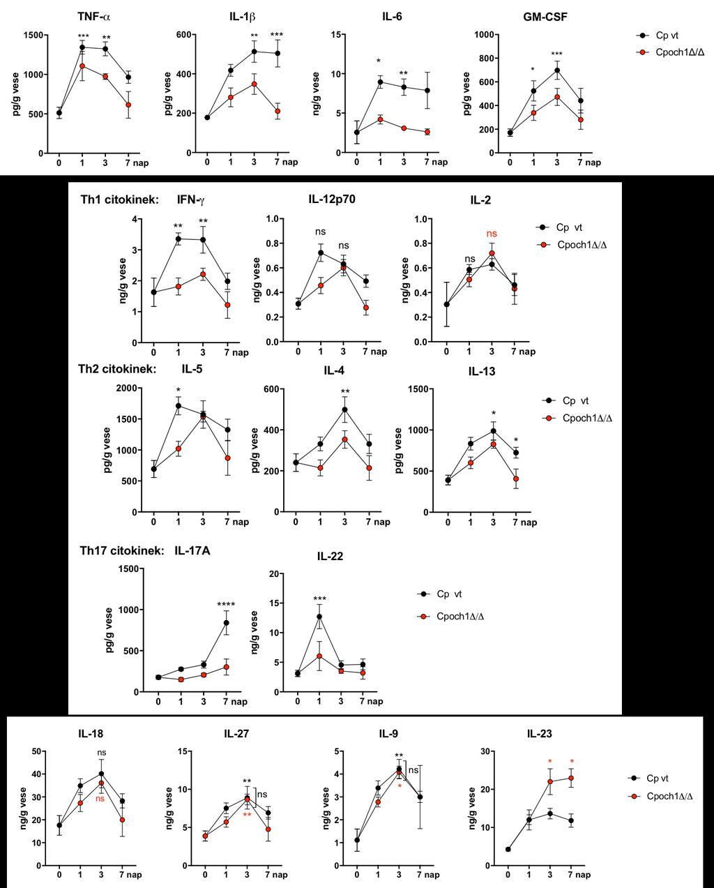 25. ábra. Az in vivo citokin termelődés összehasonlítása a Cp vt és a Cpoch1 / fertőzött egerek vese homogenizátumából (n=8/csoport). Az ábra 2 független kísérlet eredményeit foglalja össze.
