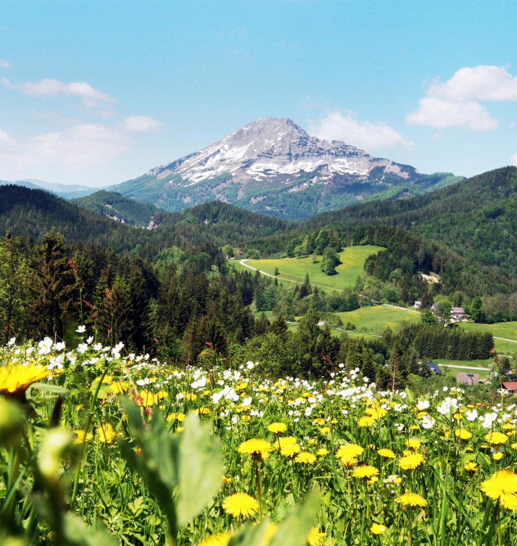 FOGLLJON MOST, ÉS NYERJE VSSZ UTZÁS ÁRÁT!1 SLZBURG, USZTR LSÓ-USZTR BD HOFGSTEN NNBERG 2019.02.21. és 03.31. között történő foglalások között kisorsolunk hármat, melyeknek visszafizetjük az árát!